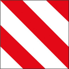 V20 PLACA DE SEÑALIZACION PARA VEHICULO CON CARGA SOBRESALIENTE