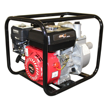 BRICOFERR BF034A MOTOBOMBA DE AGUA, 5.5 W
