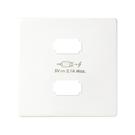 MECANISMO Y FRONTAL DE ENCHUFES USB SIMON